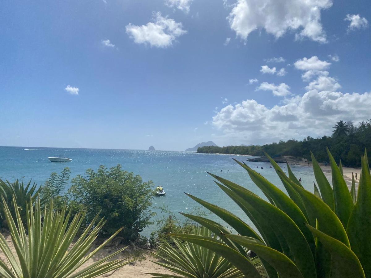 Studio Rdc La Desirade Martinique Acces Direct Plage Sainte-Luce Buitenkant foto