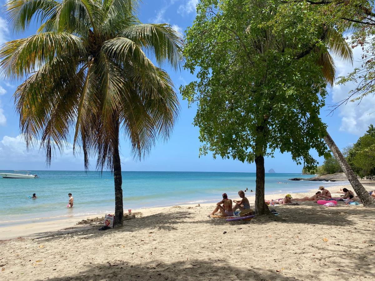 Studio Rdc La Desirade Martinique Acces Direct Plage Sainte-Luce Buitenkant foto